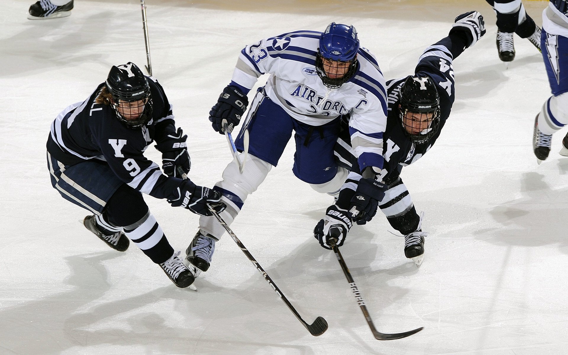 当大帝驾临黄浦江，恩比德空降CBA之夜，上海横扫辽宁开启新王朝
